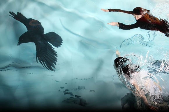 Hyper Realistic Underwater Polar Bear and Raven Raven1 Hyper Realistic Underwater Polar Bear and Raven
