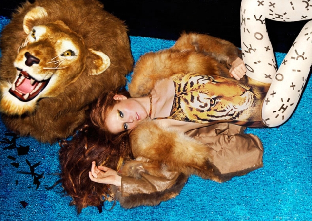 RenataRaksha Lion0006 Photography By Renata Raksha