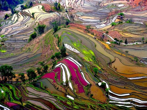 NGC Photography June 2010 TerracedRiceFieldChina NGC Photography June 2010