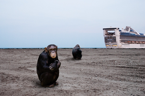 TheIsleofHumanbyJohanRosenmunthe3 When Animals Take Over: the Photography of Johan Rosenmunthe