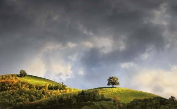 ThelonelytreebyDanielMetz Best Examples of Landscape Photography