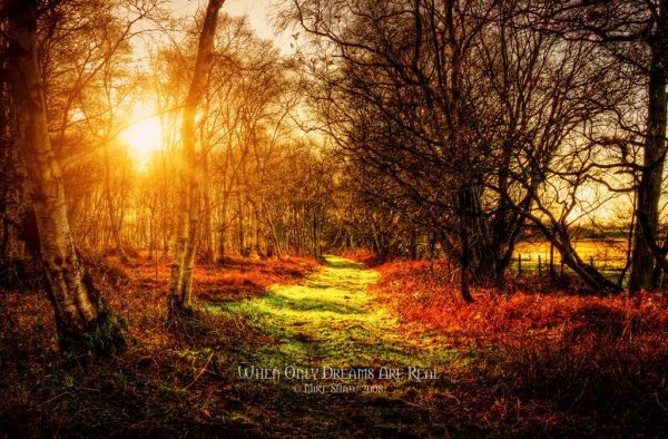When Only Dreams Are Real by morbidthegrim Impressive Photography by Mike Shaw