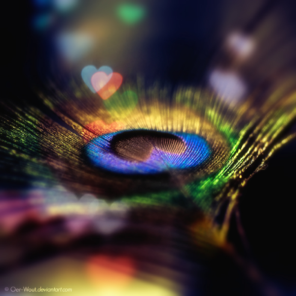Digital art selected for the Daily Inspiration #450