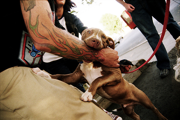 aaronfarley2 pic on Design You Trust aaronfarley2 Tattoo Photography by Aaron Farley