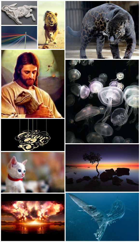 acreativeuniverse68 Daily Inspiration #68