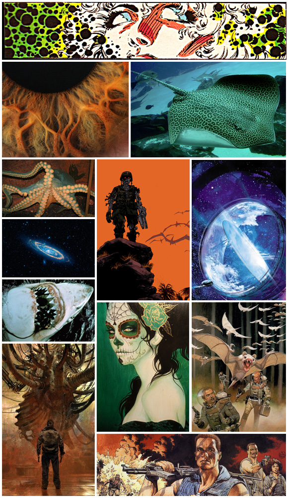 acreativeuniverse81 pic on Design You Trust acreativeuniverse81 Daily Inspiration #81