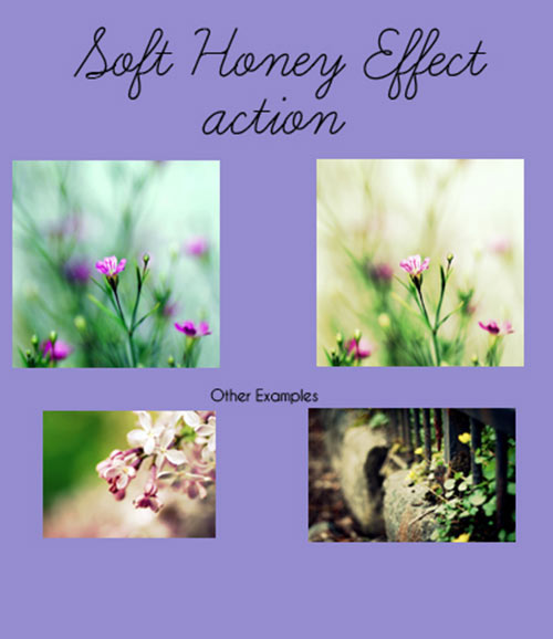 45 Photoshop Actions for Photo Enhancement action soft honey effect 45 Photoshop Actions for Photo Enhancement