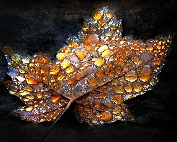 be6eb3e7d69d21edc812c6df9094a870 pic on Design You Trust be6eb3e7d69d21edc812c6df9094a870 Splendid Nature Photography of Alexandre Deschaumes