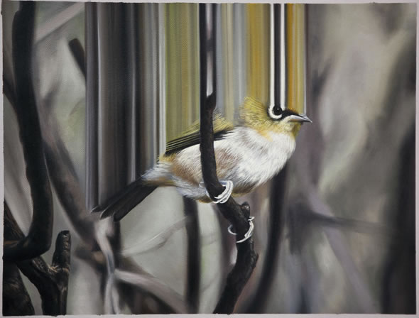 oil paintings of birds. Beautiful oil paintings by