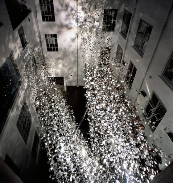 Installation Art Examples