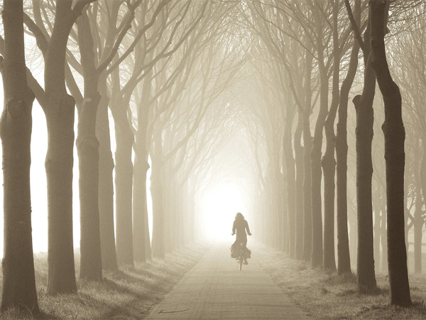 etp17 pic on Design You Trust etp17 Wonders of Nature: Enchanted Pathways