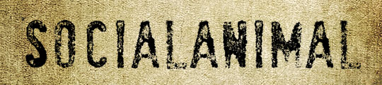 gf03 70 Free Cool Grunge Fonts