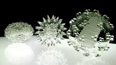 glassmikrobiology2 pic on Design You Trust glassmikrobiology2 Glass Mikrobiology by Luke Jerram