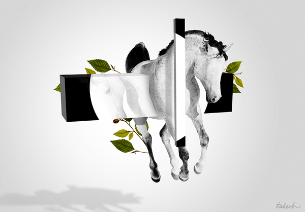 horse dyt Takeshi updates at www.stillontherun.com