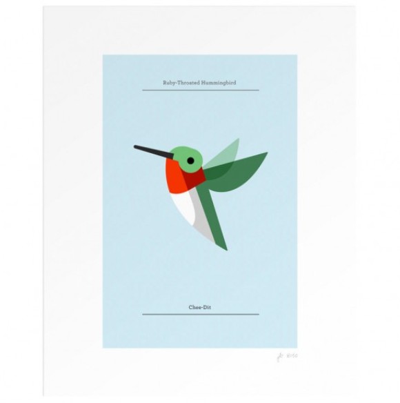 joshbrillDYT Flora Fauna prints by Josh Brill
