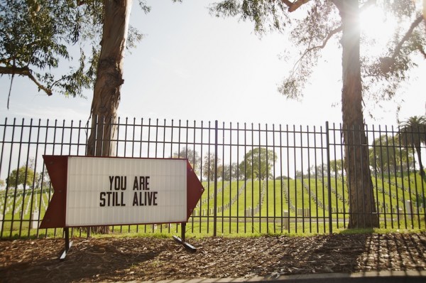 Photo Series by Steve Lambert lambertlasignseries2600x398 Photo Series by Steve Lambert