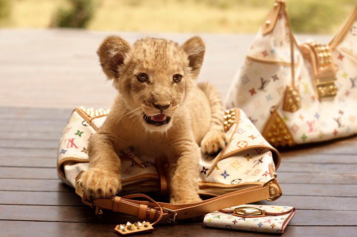Dree Hemingway for Louis Vuitton Travel 2010 lvlion Dree Hemingway for Louis Vuitton Travel 2010