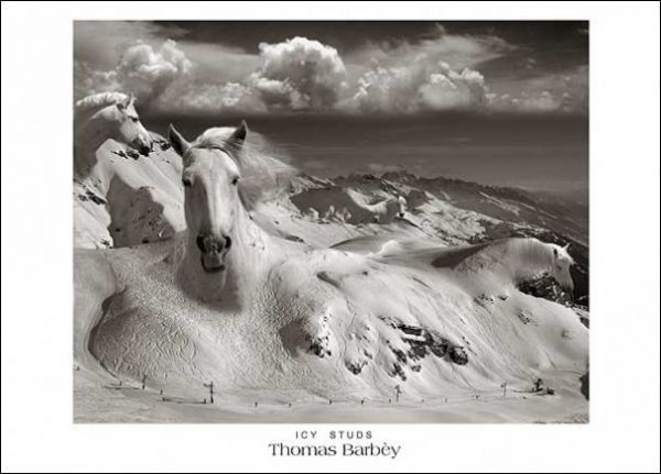 n30576406870 1007630 8677 pic on Design You Trust n30576406870 1007630 8677 Black and White Analog Photo Montages by Thomas Barbey | photography