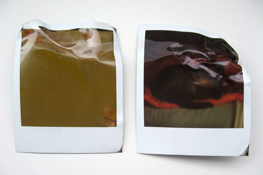 Natasha Weissenborn Portfolio na portfolio 11 06 Natasha Weissenborn Portfolio