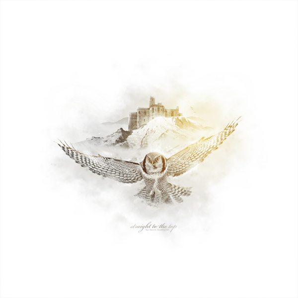 owl New Creation by kevin.roodhorst (www.kevinroodhorst.com)