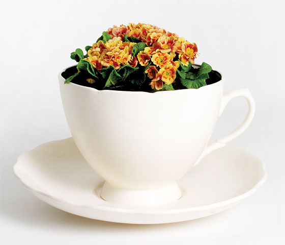 plant cup pic on Design You Trust plant cup Oversized Cup Planters