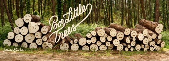 poorlittletrees3 Steven Burke