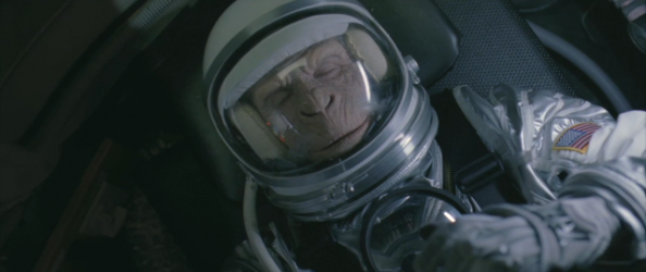  A monkey in the Space