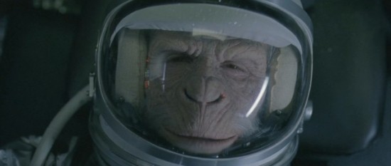 Space Monkey WWF spacemonkey3550x233 Space Monkey WWF