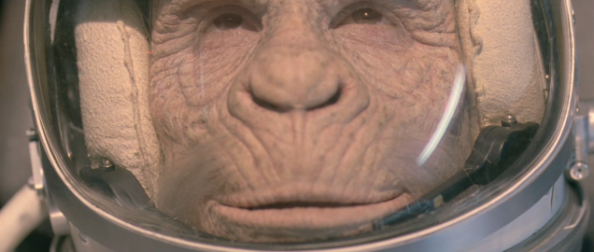  A monkey in the Space