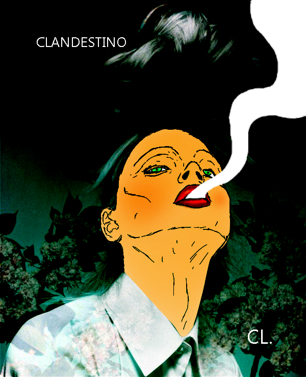 stambeauty14copy Ilustrations by Smash