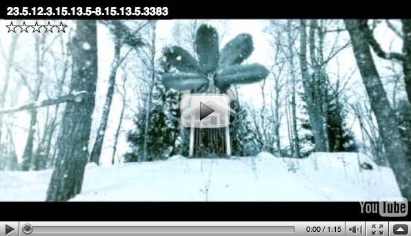 theiamamiwhoami2 pic on Design You Trust theiamamiwhoami2 The iamamiwhoami Viral Video