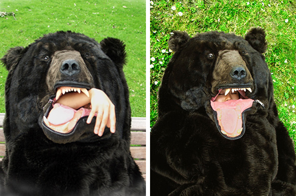 thesleepingbear pic on Design You Trust thesleepingbear Become a Grizzly