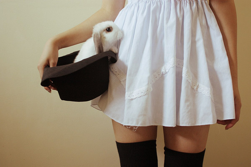 Romantic #58 tumblr l4md0gNKeP1qzdiqvo1 500 Romantic #58