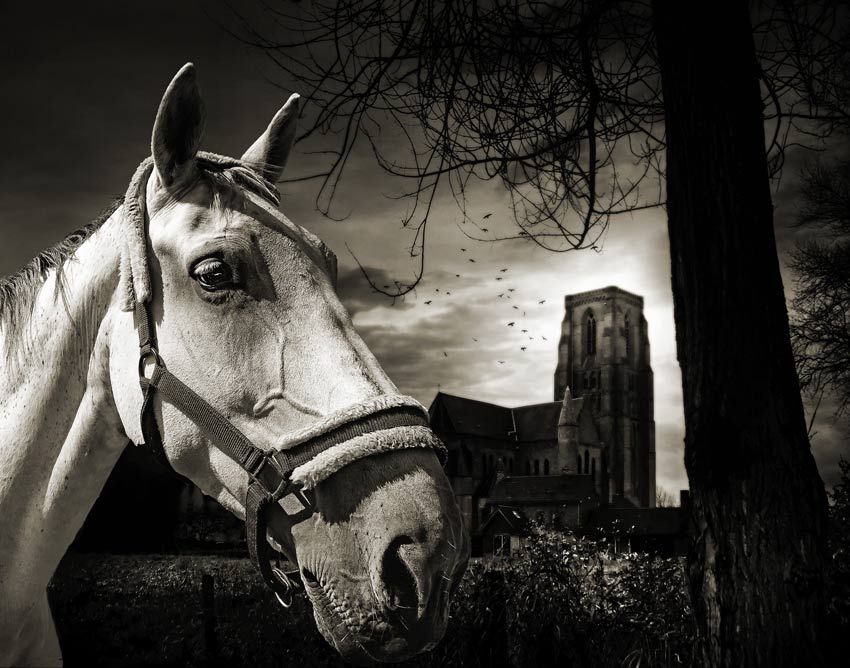 Photography by Piet Flour untitled44 Photography by Piet Flour