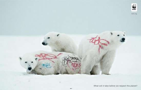 wwfgraffitibear550x352 Graffitis on endangered species
