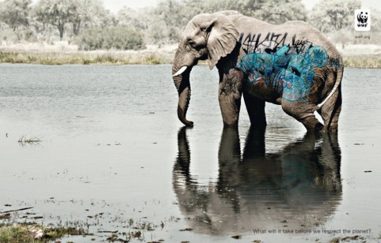 wwfgraffitielephant550x352 Graffitis on endangered species