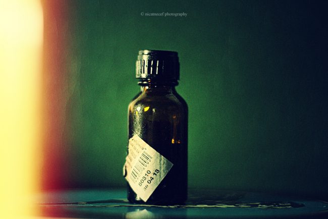 nicatnecef photography