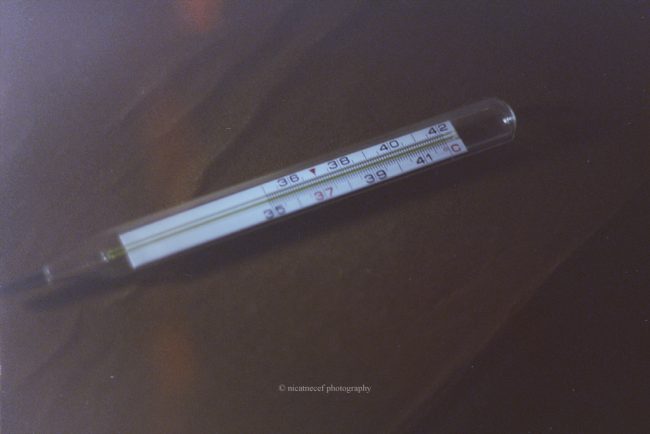 nicatnecef photography