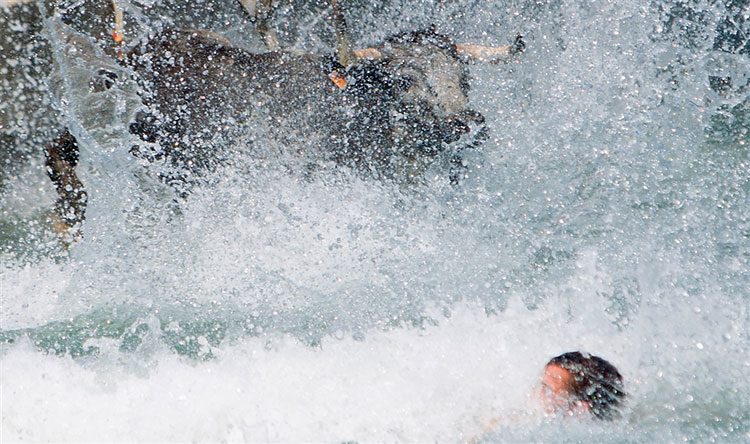 'bulls To The Sea' Festival In Eastern Spain