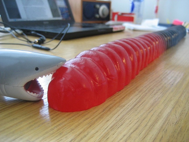 The World's Largest Gummy Worm