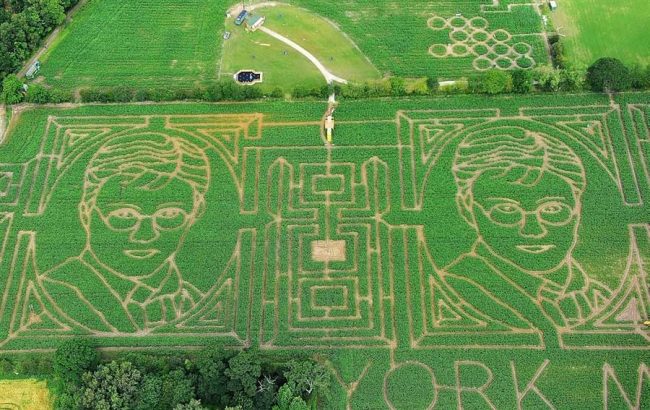 English Farmer Carves Enormous Harry Potter Corn Maze
