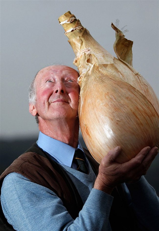 English Vegetable Grower Claims Guinness World Record For 8 Kg Onion