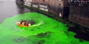 Green German River Dyed Even Greener