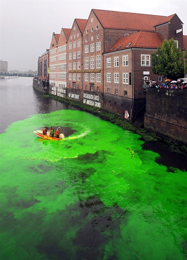 Green German River Dyed Even Greener