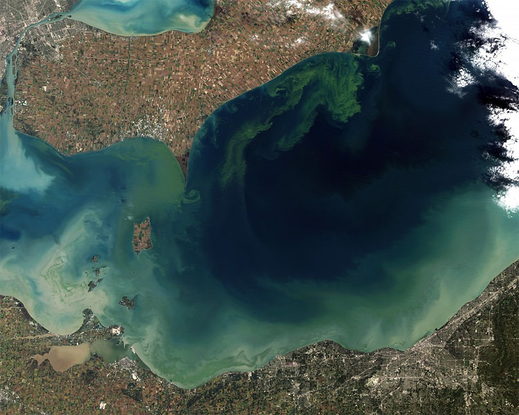Lake Erie Algae Bloom Regarded As Worst In Decades