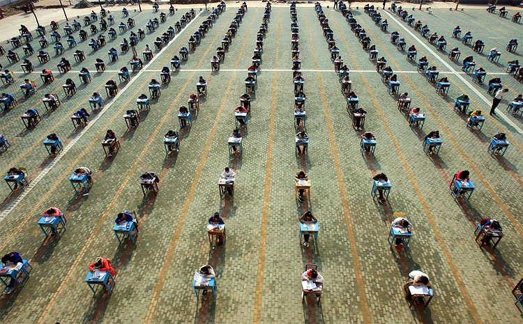 Photo Of The Day: Taking The Test
