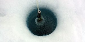 New NASA Discovery Reveals Unprecedented Blooms Of Ocean Plant Life Beneath Arctic Ice