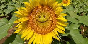 Photo of the Day: Happy