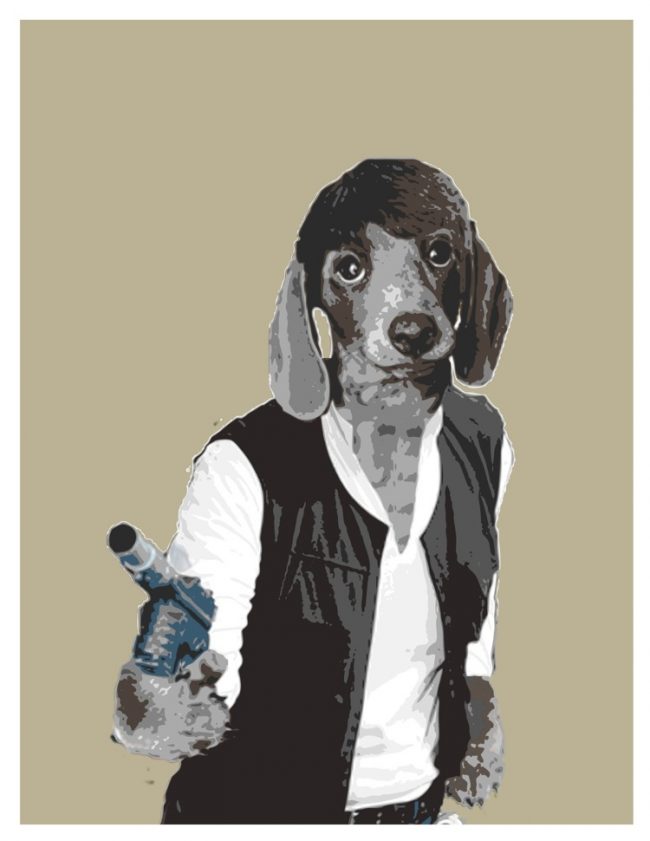 Han Solo Dog