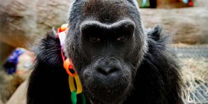 Photo of the Day: Happy Birthday!